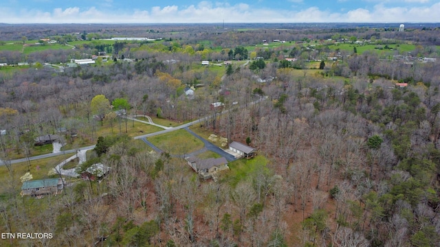 drone / aerial view