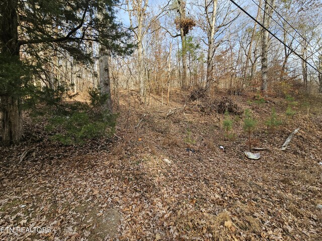 LOT7 Smyrna Rd, Evensville, TN 37332 - photo 1