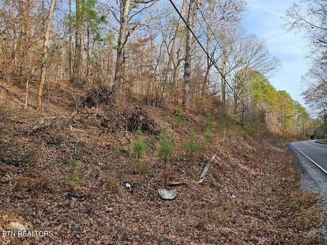 LOT7 Smyrna Rd, Evensville, TN 37332 - photo 4