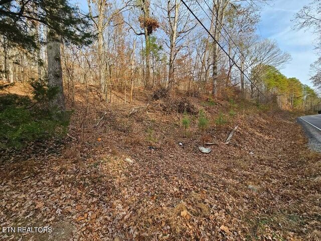 LOT7 Smyrna Rd, Evensville, TN 37332 - photo 5