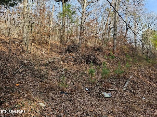 LOT7 Smyrna Rd, Evensville, TN 37332 - photo 8