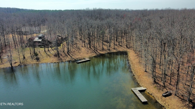 0LOT136 Camp Creek Cir, Spencer, TN 38585