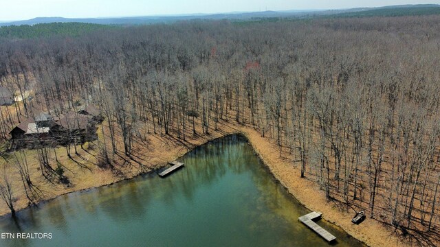 0LOT136 Camp Creek Cir, Spencer, TN 38585