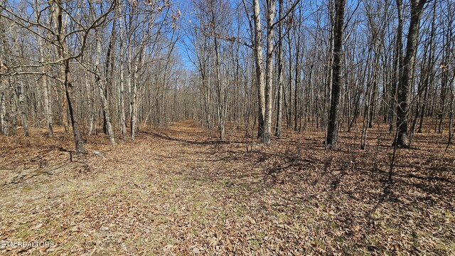 0LOT136 Camp Creek Cir, Spencer, TN 38585