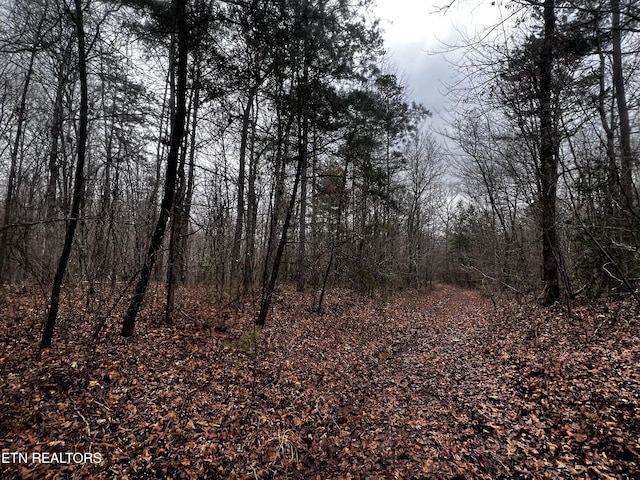LOT31 Tiffany Ln, Jamestown, TN 38556 - photo 1