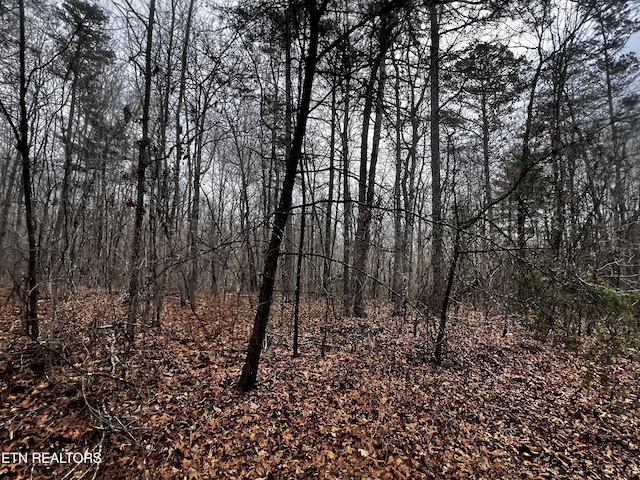 LOT31 Tiffany Ln, Jamestown, TN 38556 - photo 2