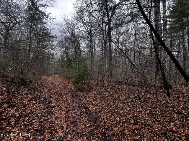 LOT31 Tiffany Ln, Jamestown, TN 38556 - photo 3