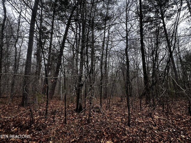 LOT31 Tiffany Ln, Jamestown, TN 38556 - photo 4