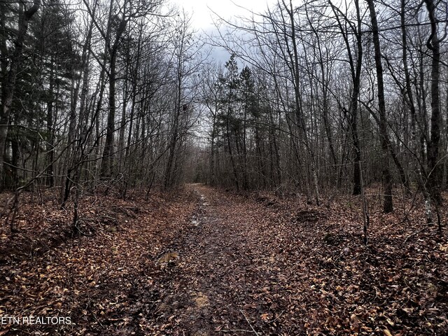 LOT31 Tiffany Ln, Jamestown, TN 38556 - photo 5