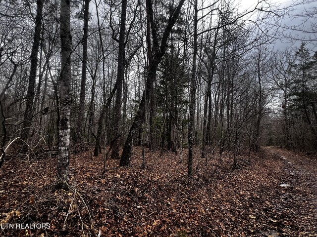 LOT31 Tiffany Ln, Jamestown, TN 38556 - photo 6