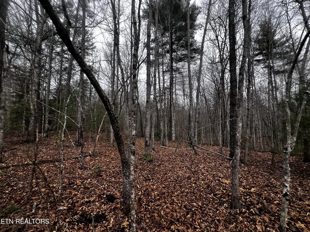 LOT31 Tiffany Ln, Jamestown, TN 38556 - photo 7