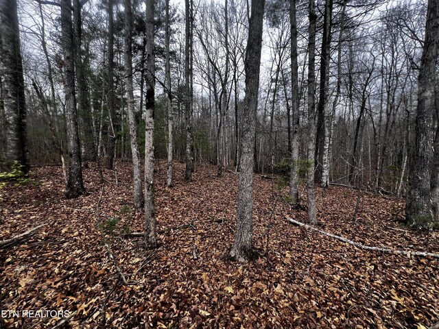 LOT31 Tiffany Ln, Jamestown, TN 38556 - photo 8