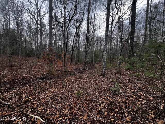 LOT31 Tiffany Ln, Jamestown, TN 38556 - photo 9