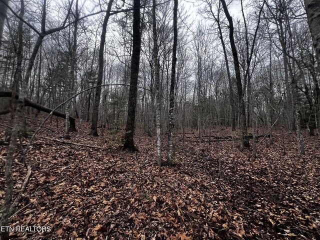 LOT31 Tiffany Ln, Jamestown, TN 38556 - photo 10