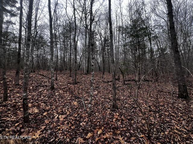 LOT31 Tiffany Ln, Jamestown, TN 38556 - photo 11