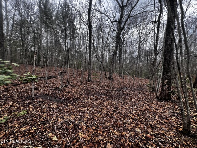 LOT31 Tiffany Ln, Jamestown, TN 38556 - photo 12