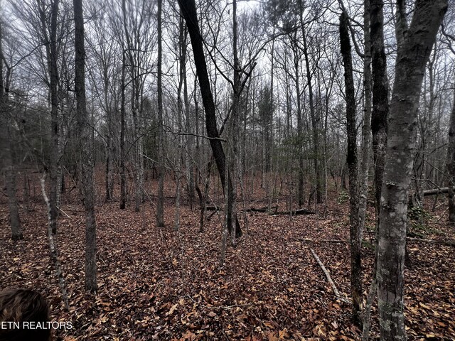 LOT31 Tiffany Ln, Jamestown, TN 38556 - photo 13