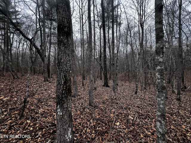 LOT31 Tiffany Ln, Jamestown, TN 38556 - photo 14