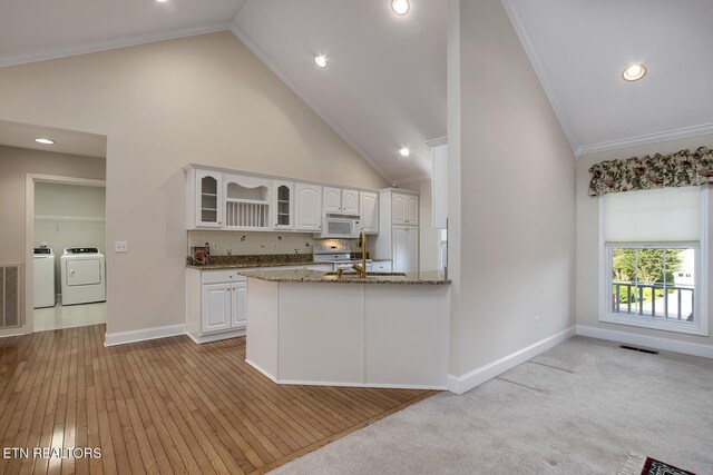 309 Saligugi Ln, Loudon, TN 37774 - photo 9