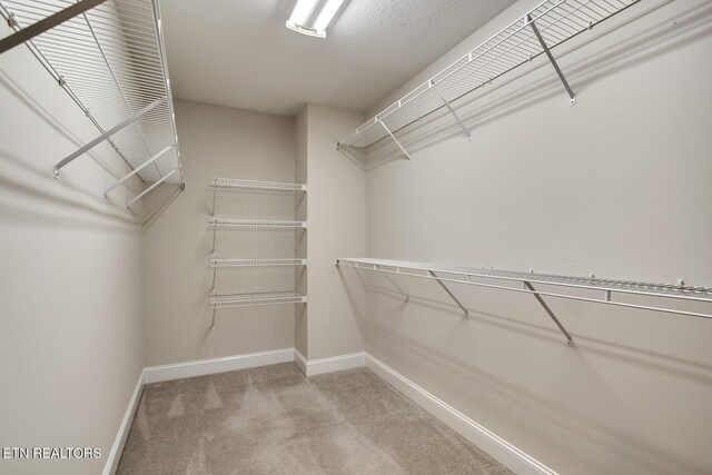 309 Saligugi Ln, Loudon, TN 37774 - photo 29
