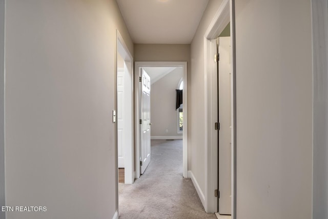 309 Saligugi Ln, Loudon, TN 37774 - photo 38