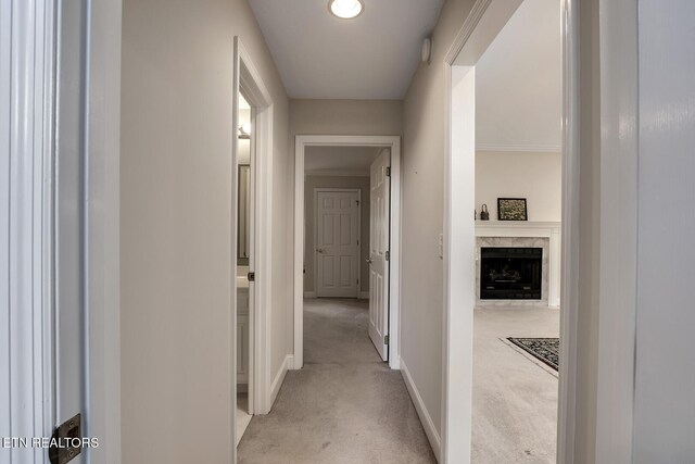 309 Saligugi Ln, Loudon, TN 37774 - photo 41