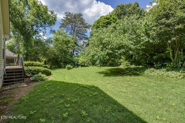309 Saligugi Ln, Loudon, TN 37774 - photo 50