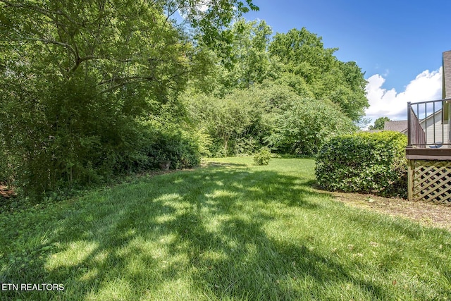 309 Saligugi Ln, Loudon, TN 37774 - photo 51