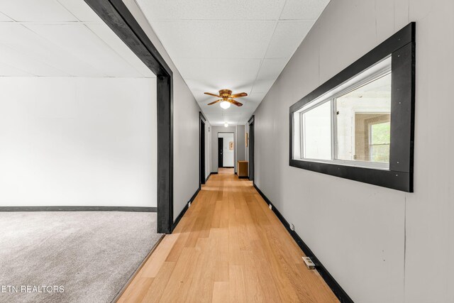 509 Atchley Ln, Strawberry Plains, TN 37871 - photo 5