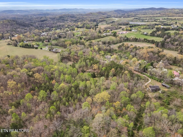 509 Atchley Ln, Strawberry Plains, TN 37871 - photo 24
