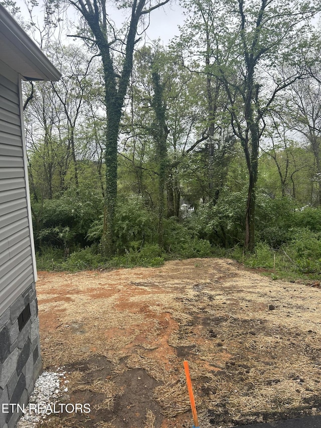 2228 Daisy Ave, Knoxville, TN 37915 - photo 24