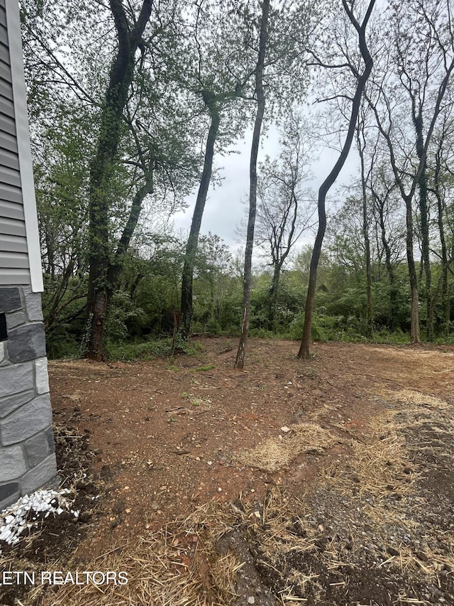 2228 Daisy Ave, Knoxville, TN 37915 - photo 26