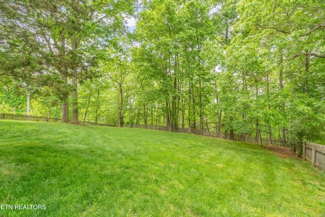 view of yard featuring a fenced backyard