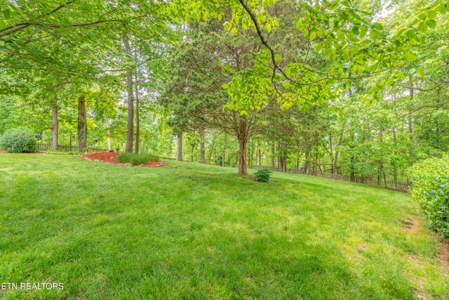 view of yard featuring fence