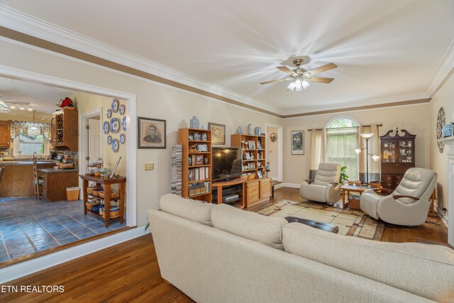 living room featuring crown molding, ceiling fan, and wood finished floors