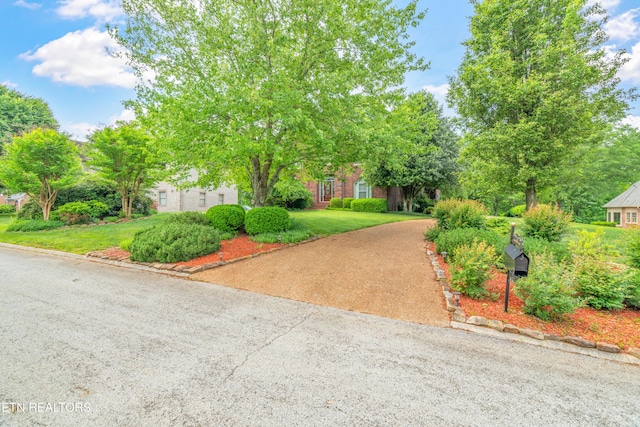 view of front of property featuring a front yard