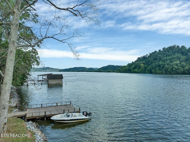 4225 W Lakeview Cir, Louisville, TN 37777 - water view with a dock