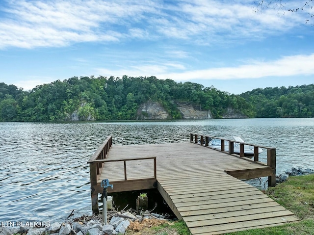 4225 W Lakeview Cir, Louisville, TN 37777 - dock area with a water view and a wooded view