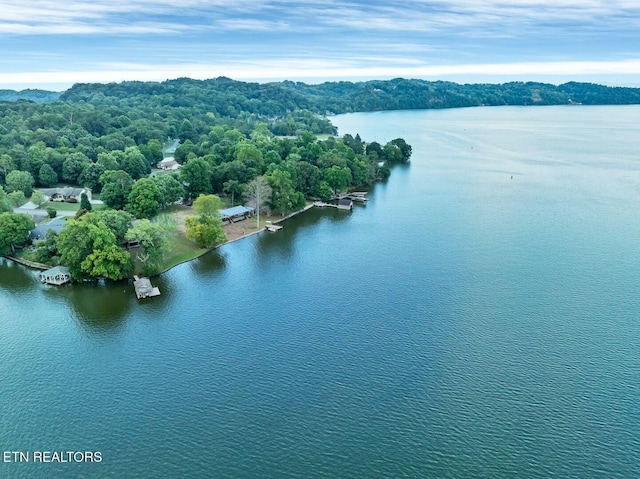 4225 W Lakeview Cir, Louisville, TN 37777 - drone / aerial view of a nearby body of water
