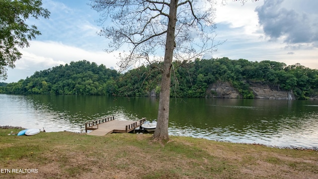 4225 W Lakeview Cir, Louisville, TN 37777 - dock area featuring a water view and a view of trees
