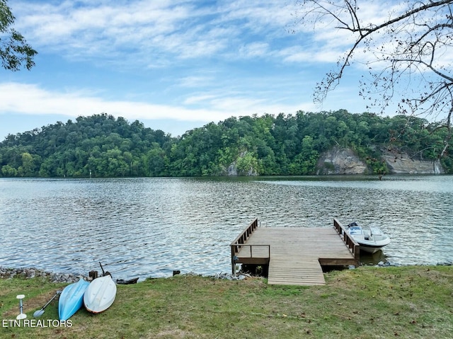 4225 W Lakeview Cir, Louisville, TN 37777 - dock area featuring a water view and a view of trees