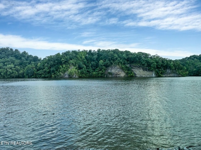 4225 W Lakeview Cir, Louisville, TN 37777 - water view featuring a heavily wooded area