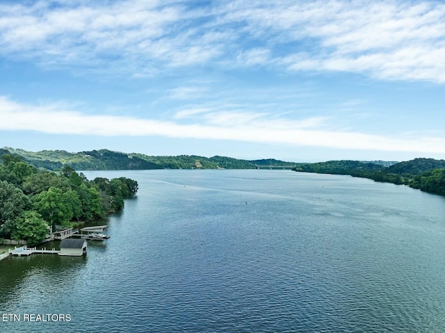 4225 W Lakeview Cir, Louisville, TN 37777 - water view with a boat dock