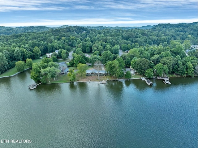 4225 W Lakeview Cir, Louisville, TN 37777 - drone / aerial view of a nearby body of water