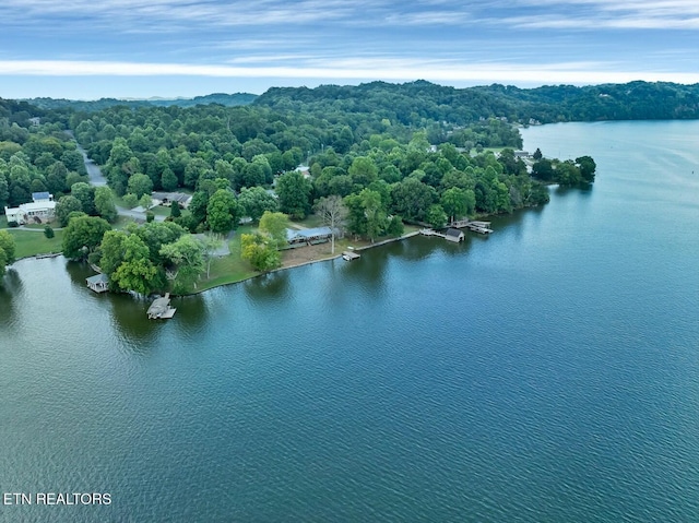 4225 W Lakeview Cir, Louisville, TN 37777 - drone / aerial view of a nearby body of water and a heavily wooded area