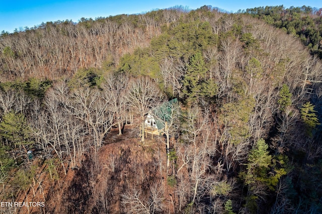 bird's eye view with a view of trees