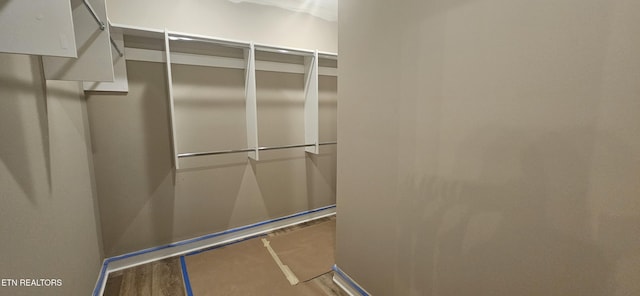 spacious closet featuring wood finished floors