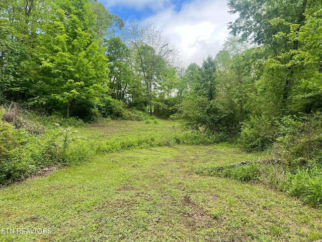 798 Lawson Rd, Crossville, TN 38571 - view of wooded area