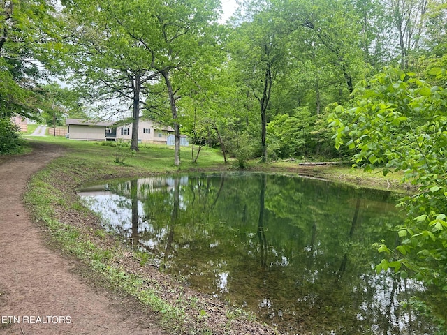 798 Lawson Rd, Crossville, TN 38571 - water view