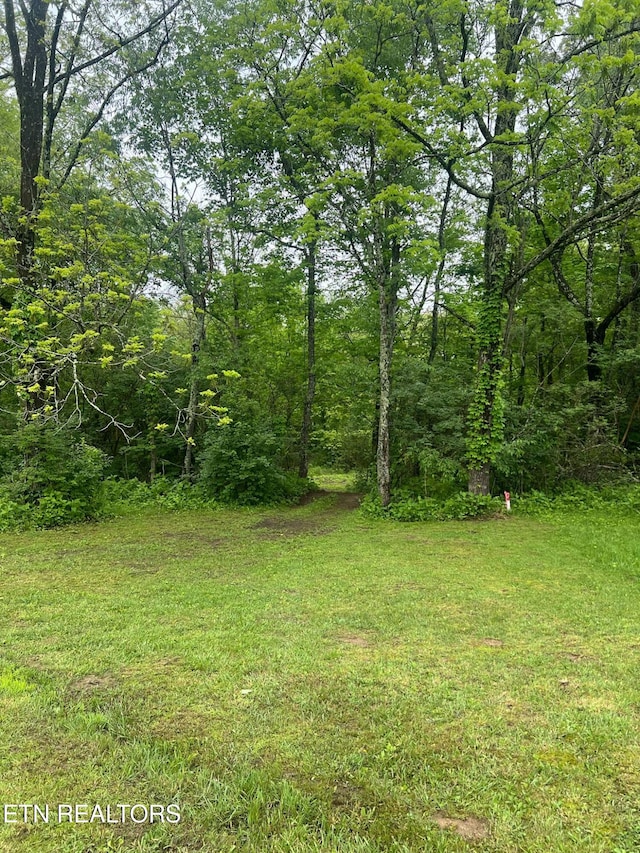 798 Lawson Rd, Crossville, TN 38571 - view of green lawn with a view of trees